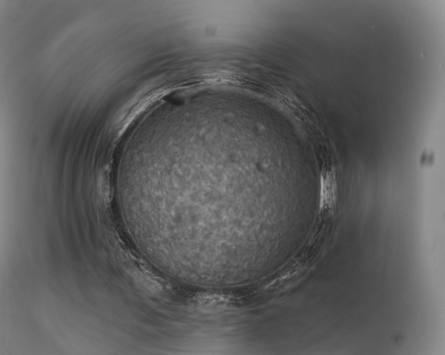 X0000113230291200909171545