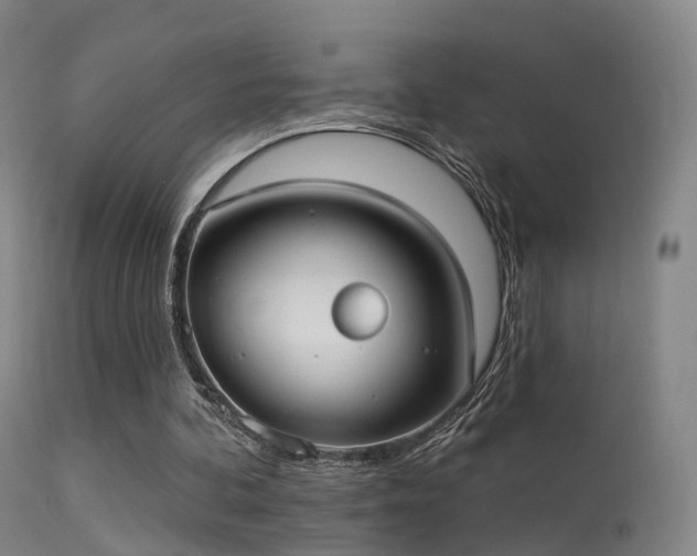 X0000113230292200909171545