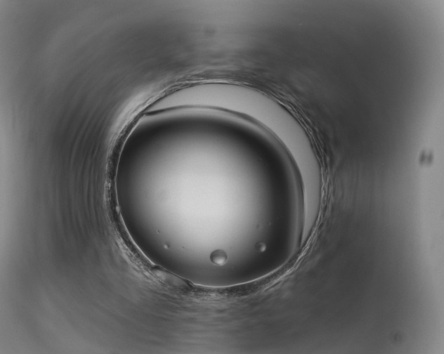 X0000113230293200909171545