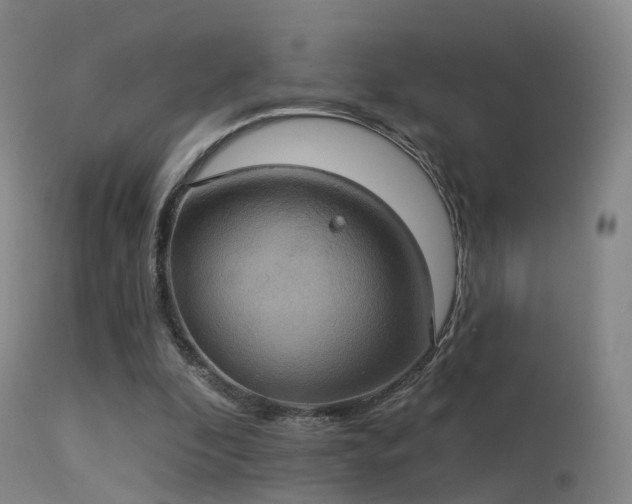 X0000113230296200909171545