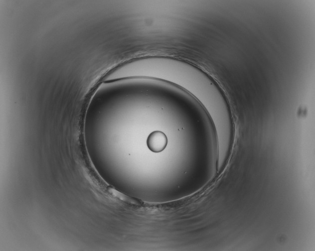 X0000113230297200909171545