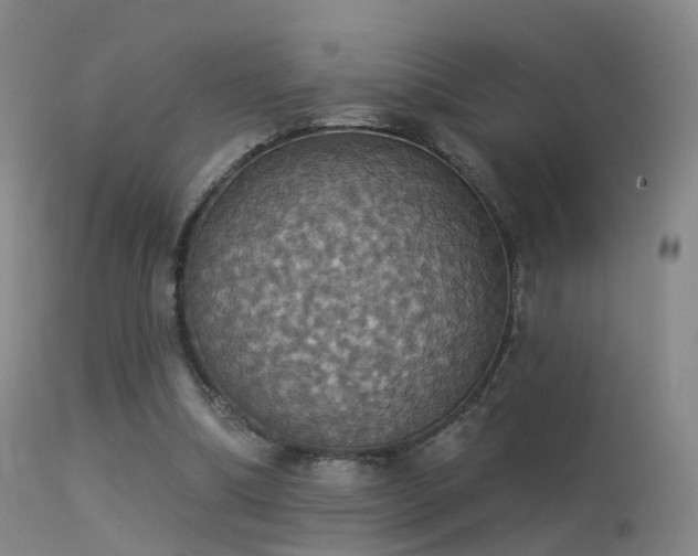 X0000113230298200909171545