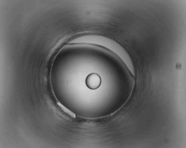 X0000113230300200909171545