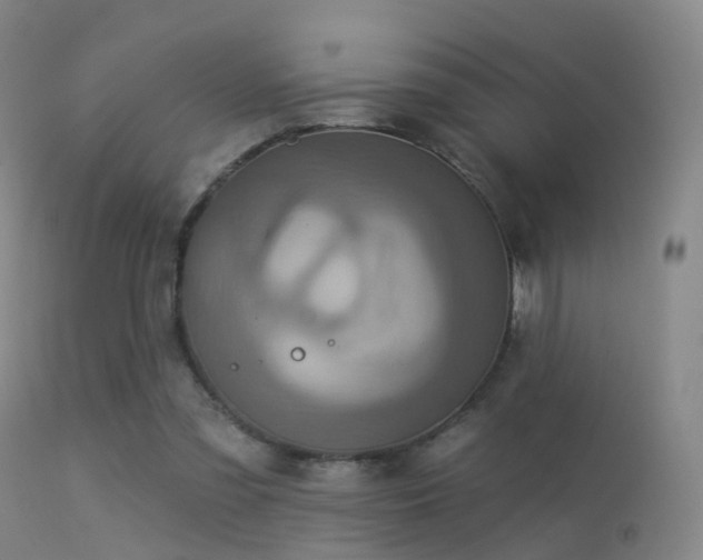 X0000113230301200909171545