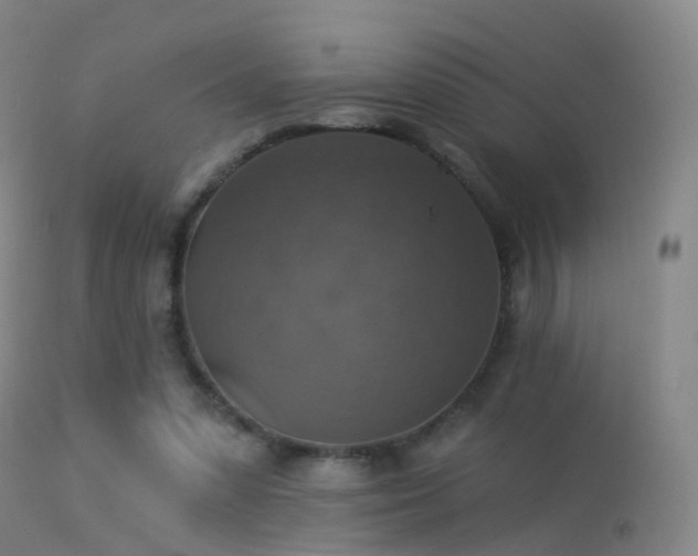 X0000113230303200909171545