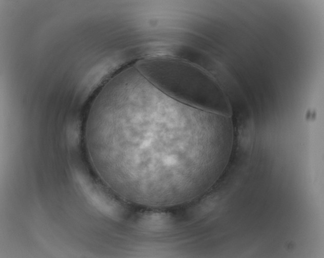 X0000113230304200909171545