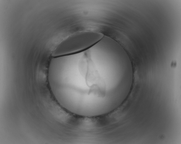 X0000113230305200909171545