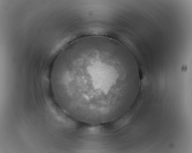 X0000113230306200909171545