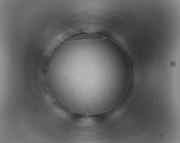 X0000113230307200909171545