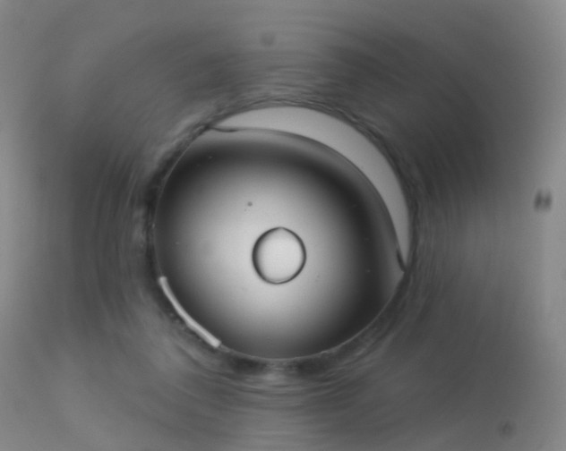 X0000113230308200909171545