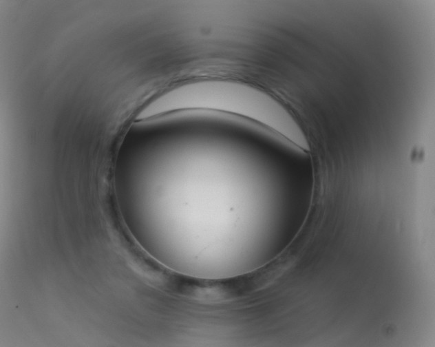 X0000113230309200909171545