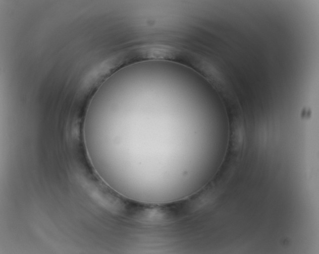 X0000113230310200909171545