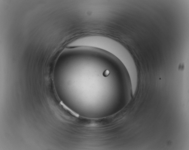 X0000113230312200909171545