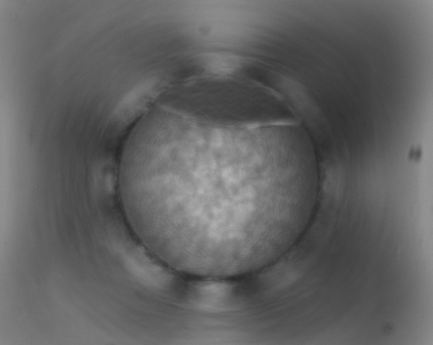 X0000113230313200909171545