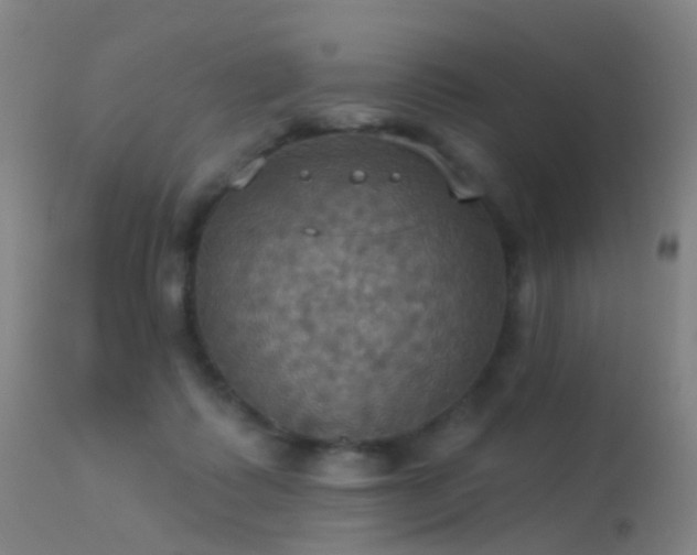 X0000113230315200909171545