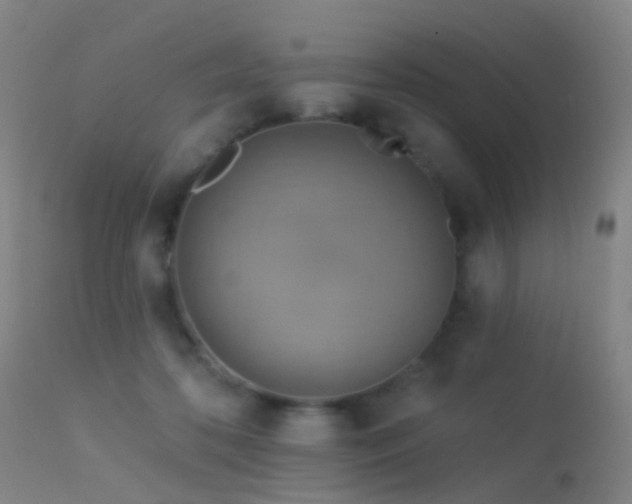 X0000113230316200909171545