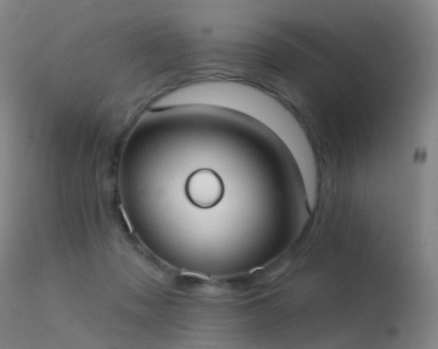 X0000113230317200909171545