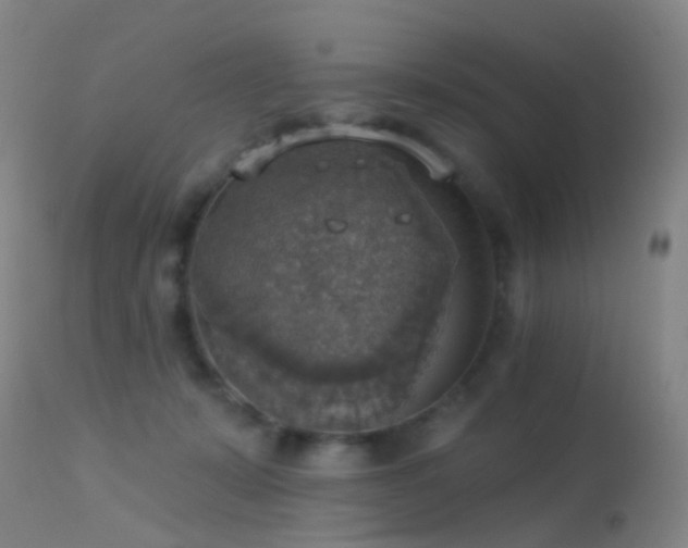 X0000113230319200909171545