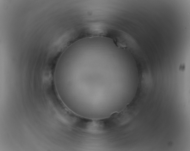 X0000113230320200909171545