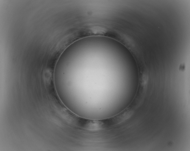 X0000113230321200909171545