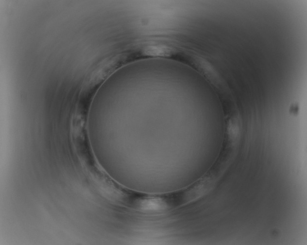 X0000113230322200909171545