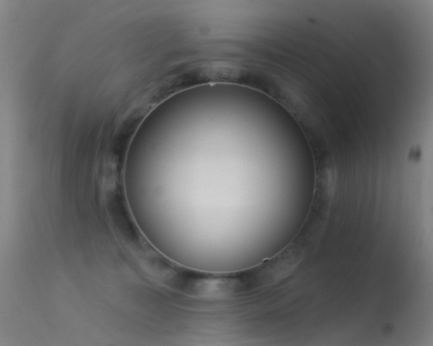 X0000113230323200909171545