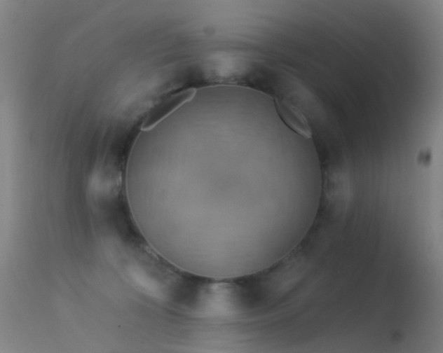 X0000113230324200909171545