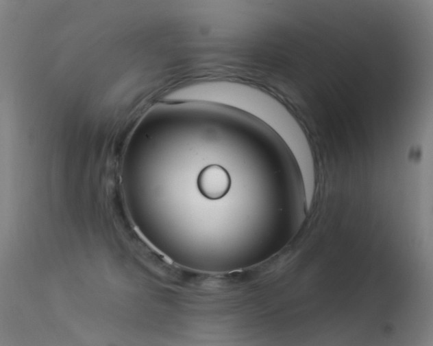 X0000113230325200909171545