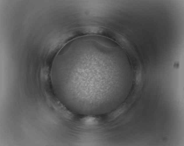 X0000113230326200909171545