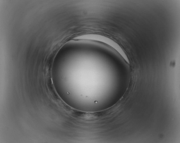 X0000113230327200909171545