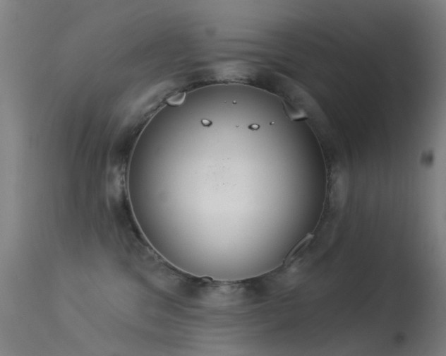 X0000113230329200909171545