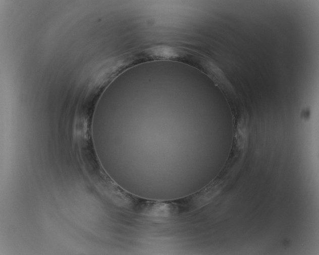 X0000113230330200909171545