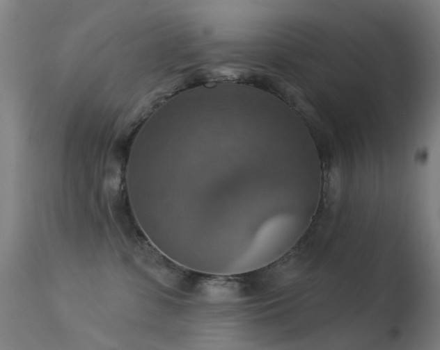 X0000113230331200909171545