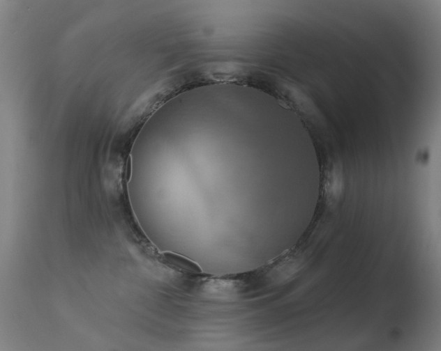 X0000113230332200909171545