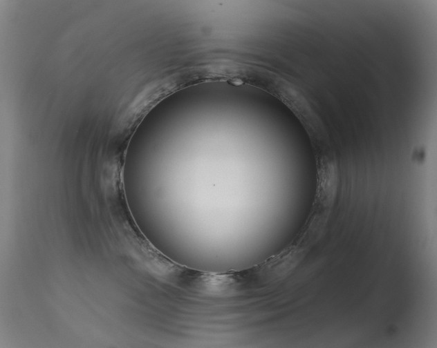 X0000113230333200909171545