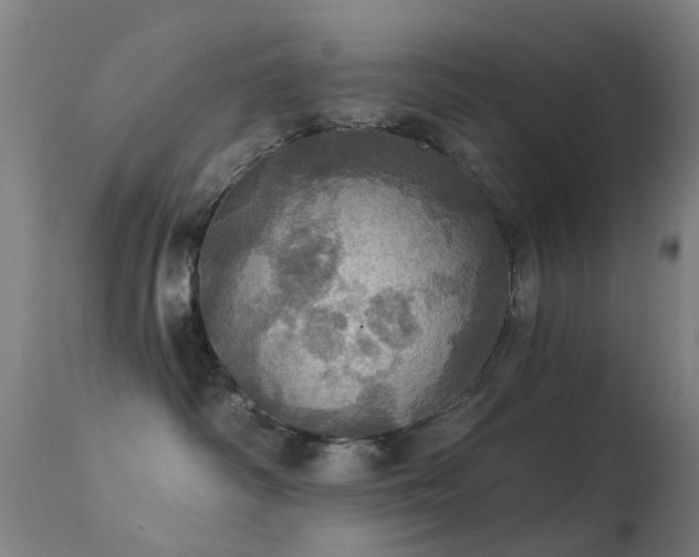 X0000113230334200909171545