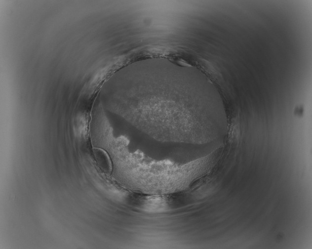 X0000113230335200909171545