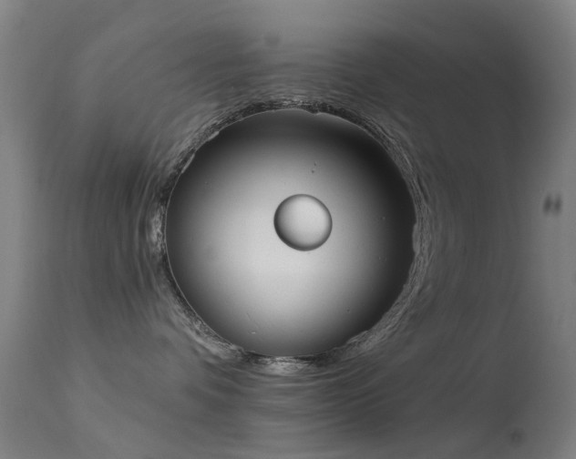 X0000113230336200909171545