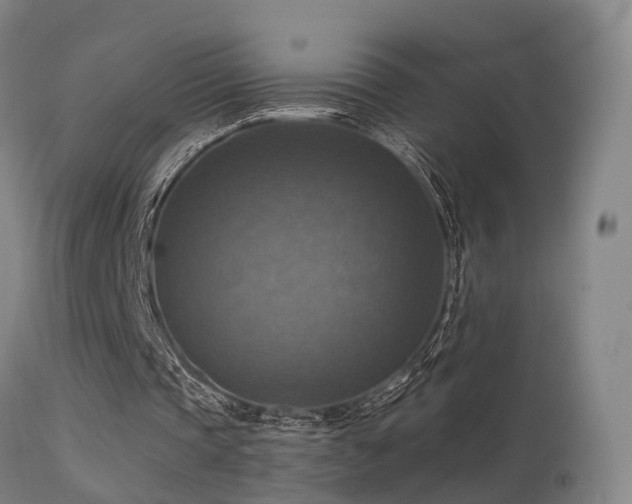 X0000113230337200909171544