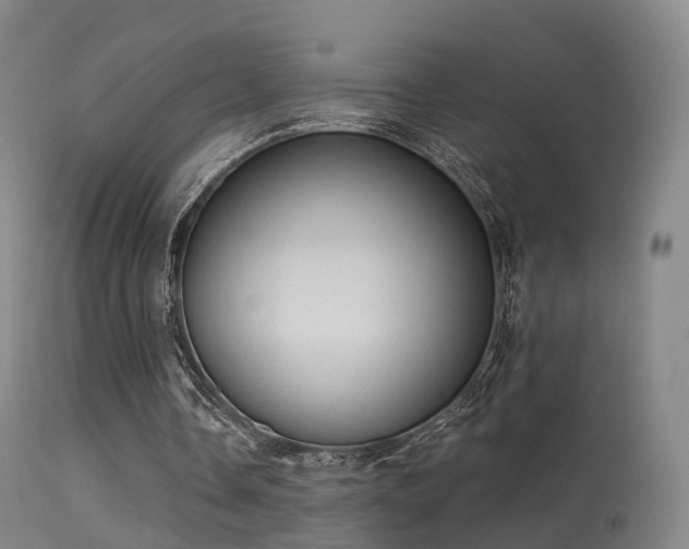 X0000113230338200909171544