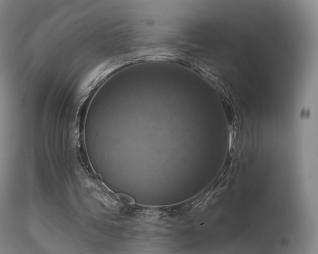 X0000113230339200909171544