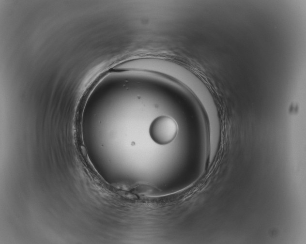 X0000113230340200909171544