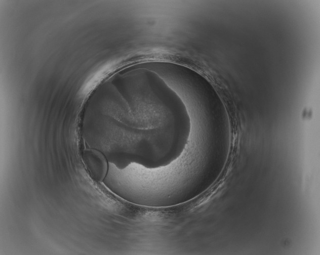 X0000113230341200909171544