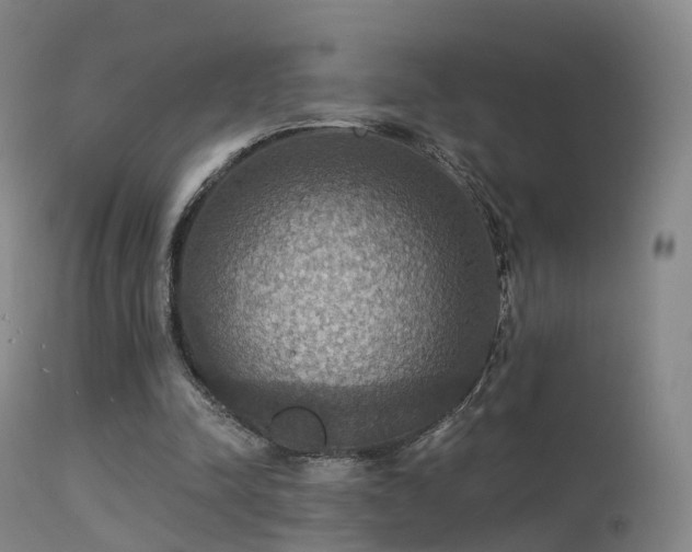 X0000113230342200909171544