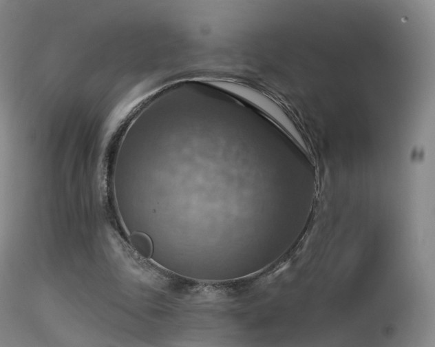 X0000113230343200909171544