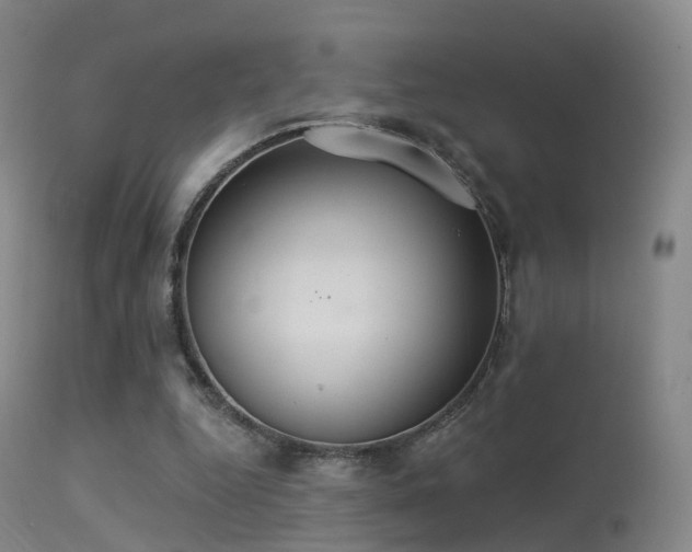 X0000113230344200909171544