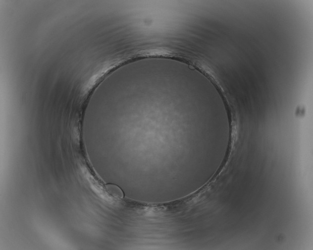 X0000113230345200909171544