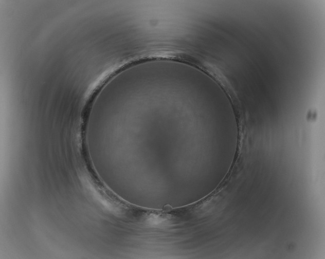 X0000113230346200909171544