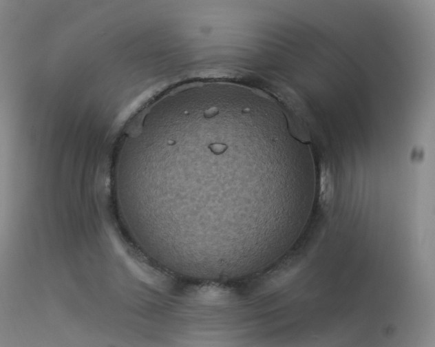 X0000113230348200909171544