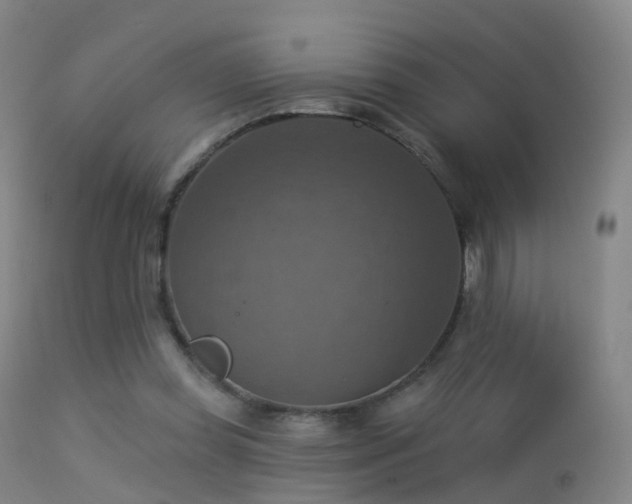 X0000113230349200909171544